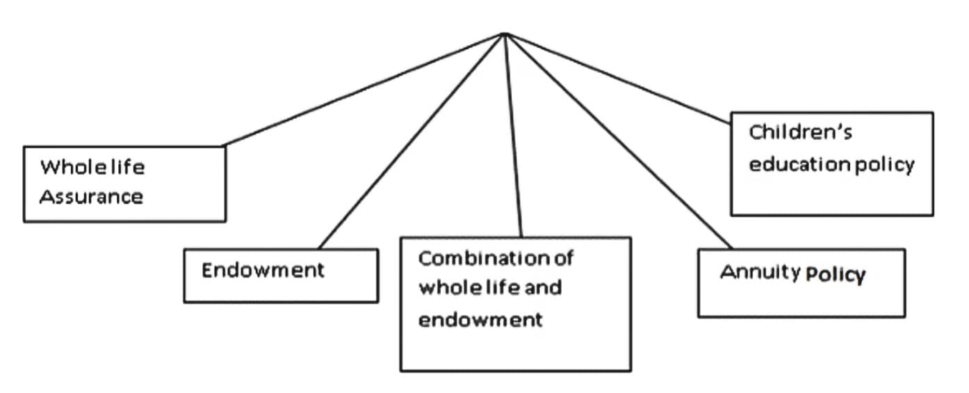 Types of Life Insurance Policies (Insurance Products)  
