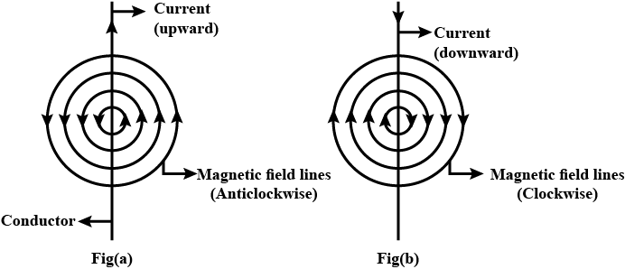 Previous Year Questions 2019
