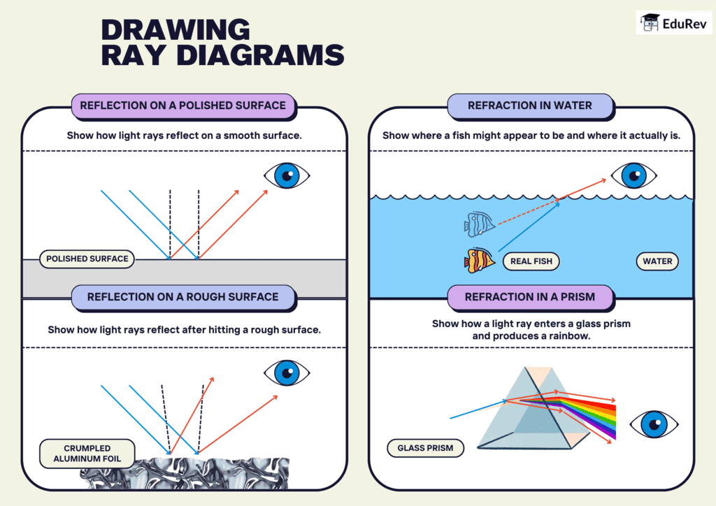 Infographics: Drawing Ray Diagrams | Science Class 10