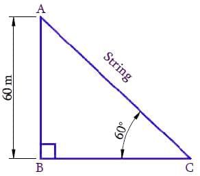 NCERT Solutions for Class 10 Maths Chapter 9 - Some Applications of Trigonometry (Exercise 9.1)