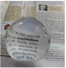 The Invisible Living World: Beyond Our Naked Eye Chapter Notes | Science Curiosity Class 8 -  New NCERT