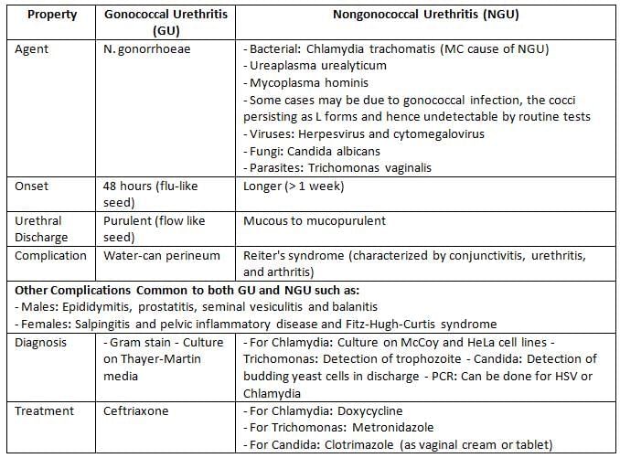 Neisseria and Moraxella Chapter Notes | Microbiology - NEET PG