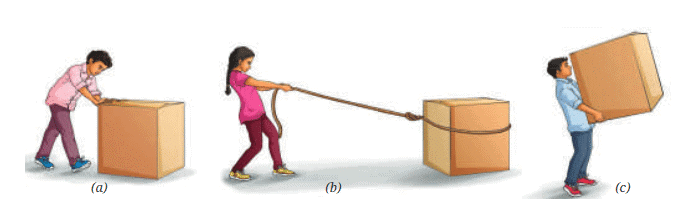 Exploring Forces Chapter Notes | Chapter Notes For Class 8