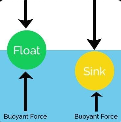 Exploring Forces Chapter Notes | Chapter Notes For Class 8