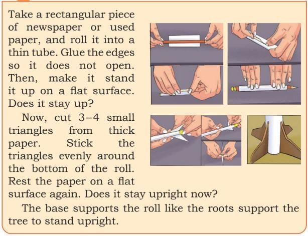 Some Unique Places NCERT Solutions | Our Wondrous World  Class 5 - New NCERT