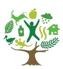 Environment & Ecology - 5 | Current Affairs & Hindu Analysis: Daily, Weekly & Monthly - UPSC