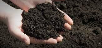 Soils of India - 1 Class 4 Worksheet SST