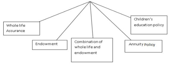 Business Services Chapter Notes | Business Studies (BST) Class 11 - Commerce