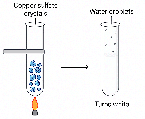 Important Diagrams: Elements, Compounds, and Mixtures