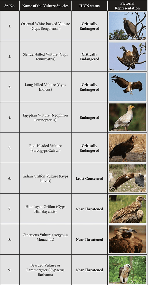 Environment and Ecology - 3 | Current Affairs & Hindu Analysis: Daily, Weekly & Monthly - UPSC