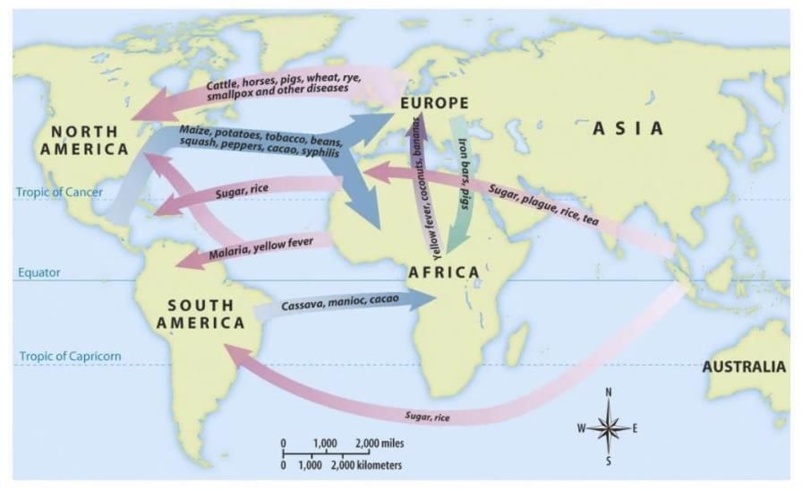 NCERT Solutions for Class 10 History Chapter 3 - The Making of a Global World