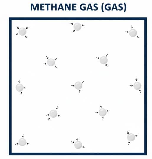 Particulate Nature of Matter NCERT Solutions | Science Curiosity Class 8 -  New NCERT