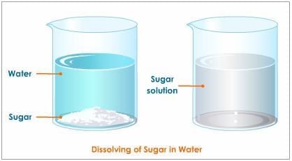 Unit Test (Solutions): The Amazing World of Solutes, Solvents, and Solutions | Science Class 8