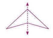 Symmetry, Reflection, and Rotation Chapter Notes | Mathematics Class 7 ICSE