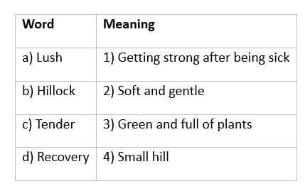 Unit Test (Solutions): The Old Stag | English for Class 4 (Santoor: New NCERT)