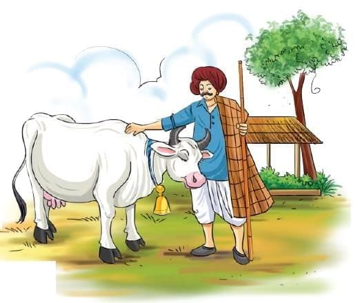 सुंदरिया Chapter Notes | Hindi Class 5 वीणा - New NCERT