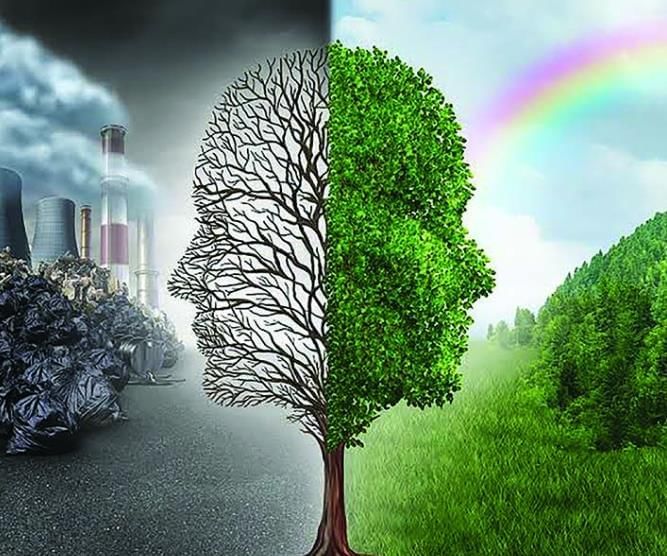 Effects of Pollution Chapter Notes | Geography Class 9 ICSE