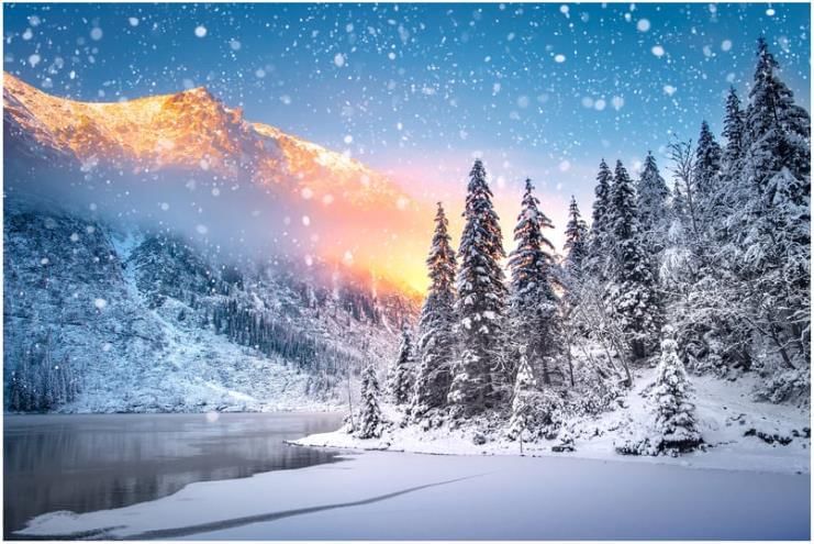 Solved Essay: My Favourite Season and Why | Essays for Class 6