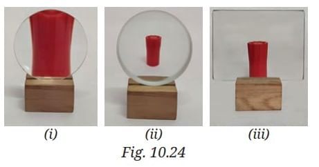Light: Mirrors and Lenses NCERT Solutions | Science Curiosity Class 8 -  New NCERT