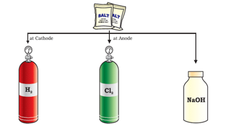 Acids - Notes, Chemistry | General Awareness - Bank Exams
