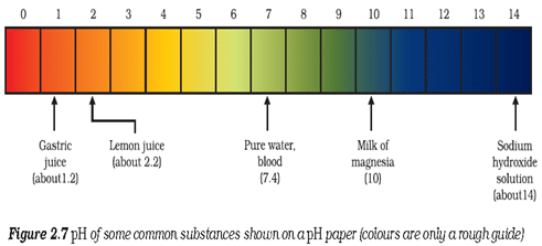 Acids - Notes, Chemistry | General Awareness - Bank Exams