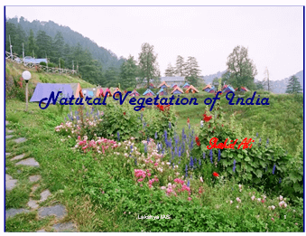 Natural Vegetation of India - Indian Geography, UPSC, IAS | Geography (Prelims) by Valor Academy