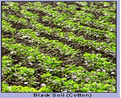 Soils in India - Geography, UPSC, IAS | Geography (Prelims) by Valor Academy