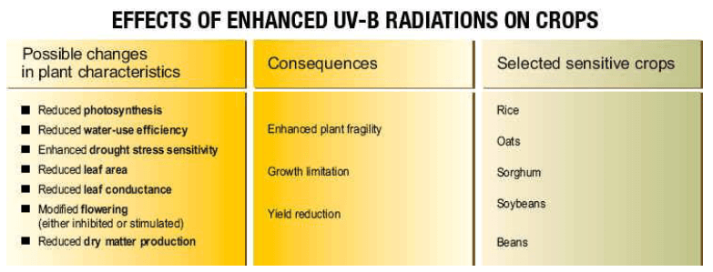 Climate Change & Pollution: Environmental Change- 1 | Environment for UPSC CSE