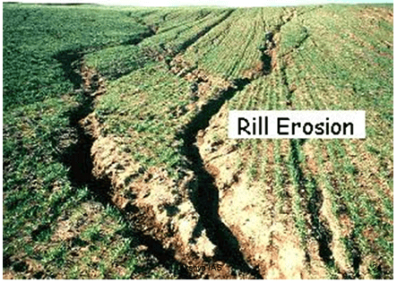 Soils in India - Geography, UPSC, IAS | Geography (Prelims) by Valor Academy