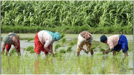 Yojana Summary: December 2024 | Current Affairs & Hindu Analysis: Daily, Weekly & Monthly - UPSC