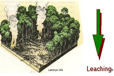 Soils in India - Geography, UPSC, IAS | Geography (Prelims) by Valor Academy