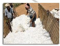 Indian Industry - Economics, UPSC, IAS. | Indian Economy (Prelims) by Shahid Ali