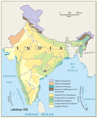 Natural Vegetation of India - Indian Geography, UPSC, IAS | Geography (Prelims) by Valor Academy