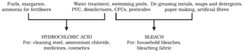 Acids - Notes, Chemistry | General Awareness - Bank Exams