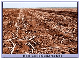 Soils in India - Geography, UPSC, IAS | Geography (Prelims) by Valor Academy