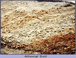 Soils in India - Geography, UPSC, IAS | Geography (Prelims) by Valor Academy