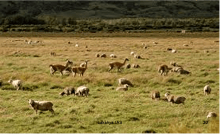 Soils in India - Geography, UPSC, IAS | Geography (Prelims) by Valor Academy