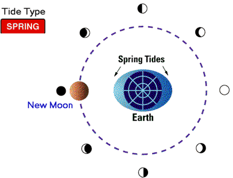 Waves & Tides - Physical Geography, UPSC, IAS. | Geography (Prelims) by Valor Academy