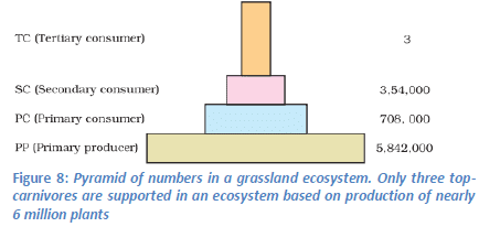 Biosphere & Working of Ecosystems: Environment & Disaster Management | Environment for UPSC CSE