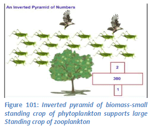 Biosphere & Working of Ecosystems: Environment & Disaster Management | Environment for UPSC CSE