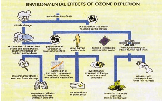 Climate Change & Pollution: Environmental Change- 1 | Environment for UPSC CSE