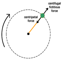 Centripetal Force