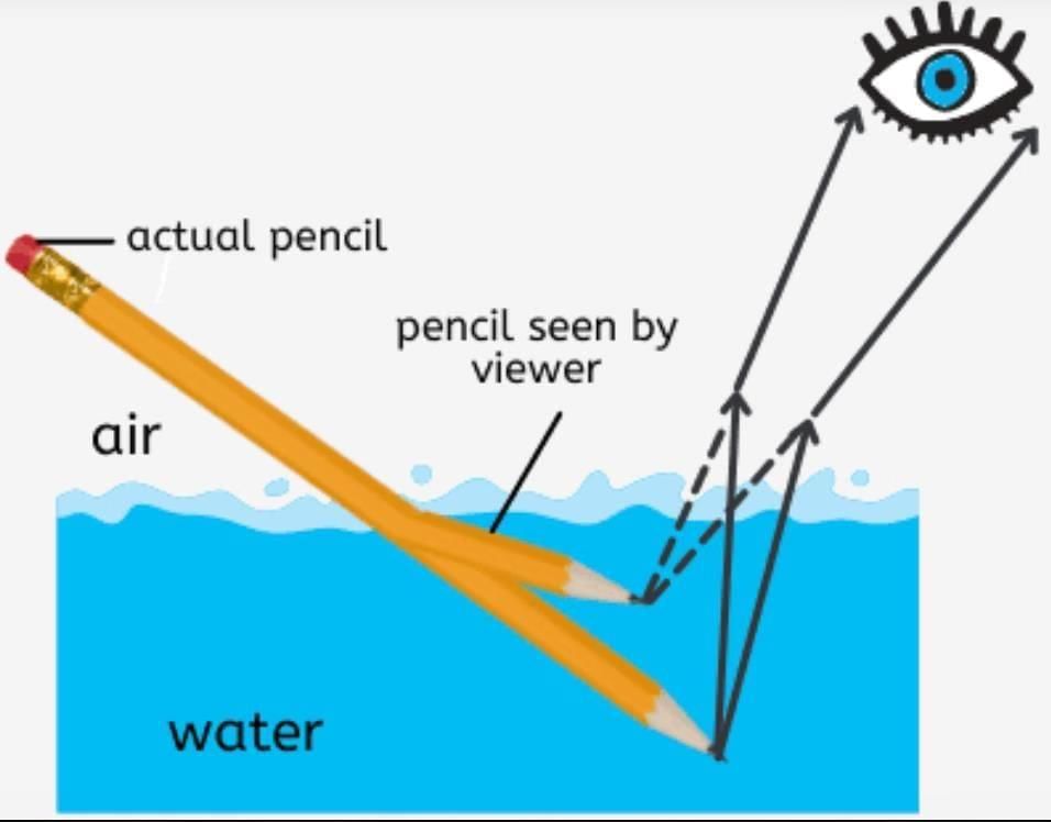 Class 8 Science: Sample Paper Solutions - 3 | Sample Papers For Class 8