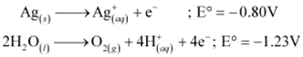 NCERT Solutions Class 11 Chemistry Chapter 7 - Redox Reactions
