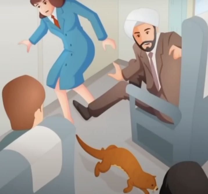 NCERT Solutions for Class 10 English Chapter 6 - Mijbil the Otter
