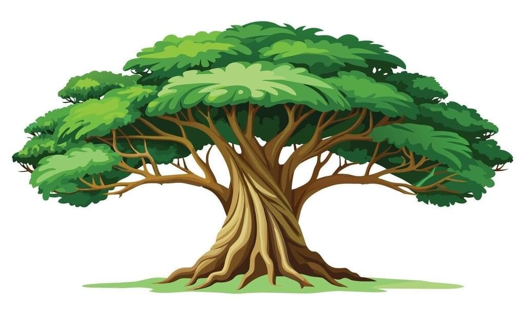 Summary: The Banyan Tree | Gul Mohar Class 6: Book Solutions, Summaries & Worksheets