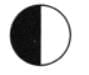 Keeping Time with the Skies NCERT Solutions | Science Curiosity Class 8 -  New NCERT