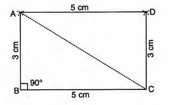 Case 1: Adjacent Sides