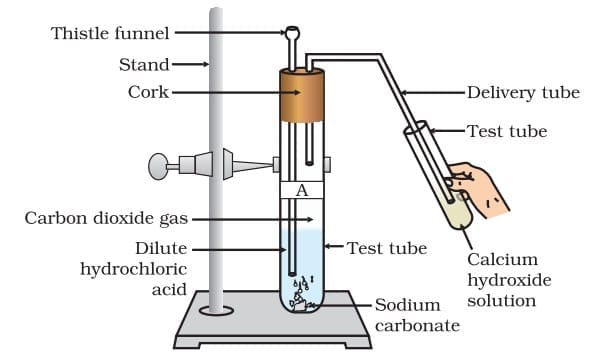 Passing carbon dioxide gas through calcium hydroxide solution