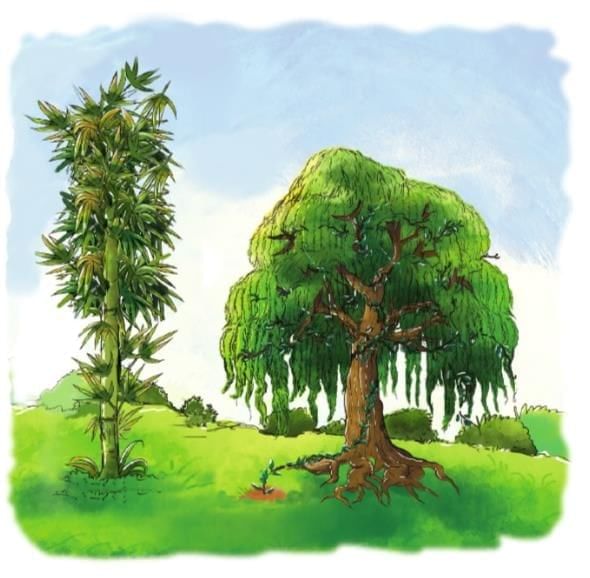 The Generous Willow Tree Chapter Notes | English Class 3 ICSE